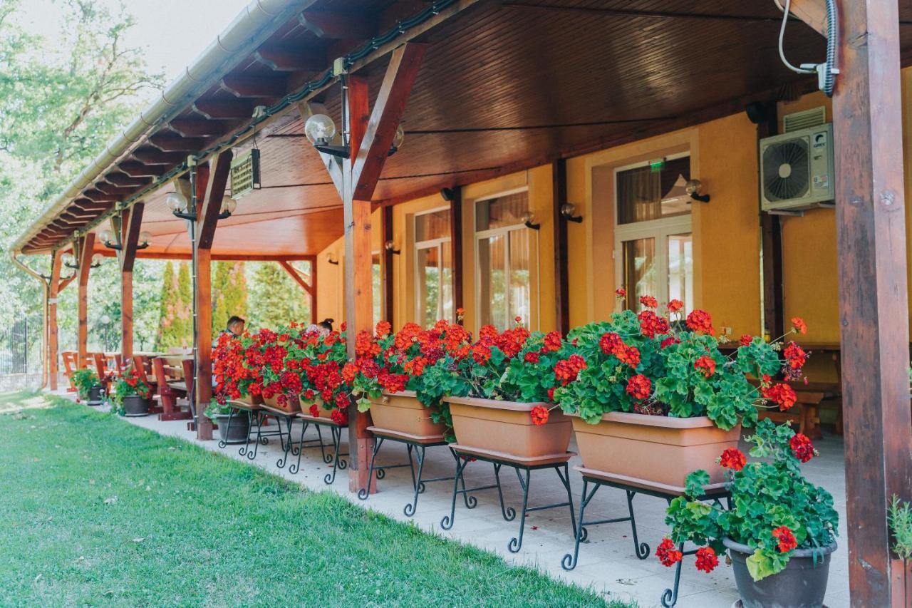 Băile Felix Metropol酒店 外观 照片